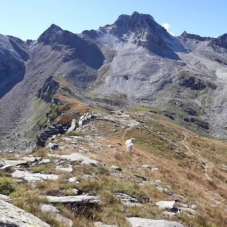 Lägenhet L'artesin *