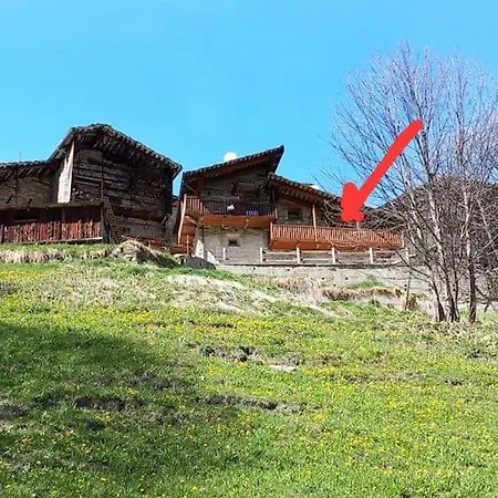 L'artesin Meleze