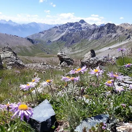 L'artesin شقة