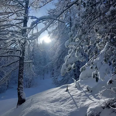 L'artesin شقة Meleze