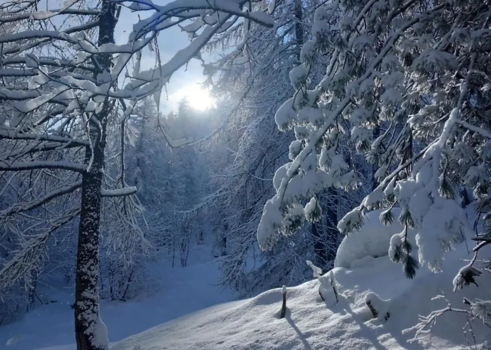 L'artesin 公寓 Meleze